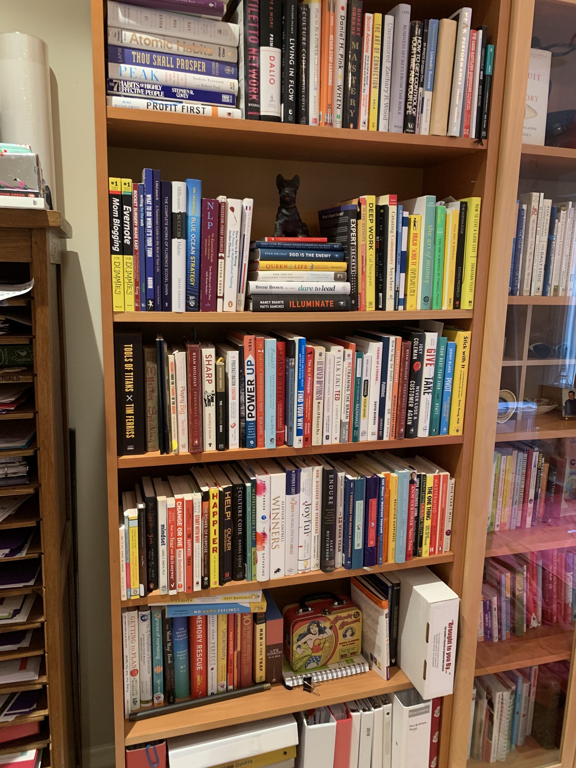 A neat and organized bookshelf